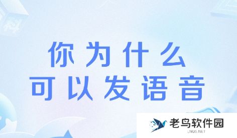 为什么你可以发语音是什么梗网络用语-为什么你可以发语音梗意思及出处分享