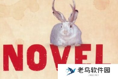 Novel是什么梗网络用语-Novel梗意思及出处分享