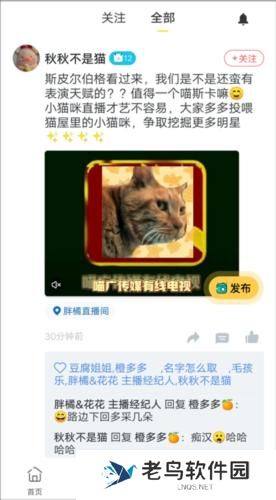 哈啰街猫最新版