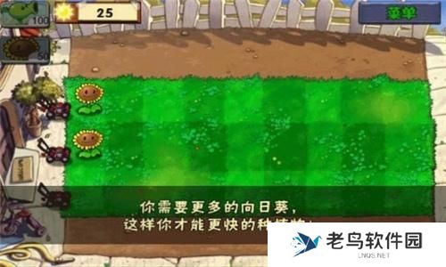 植物大战僵尸无尽版