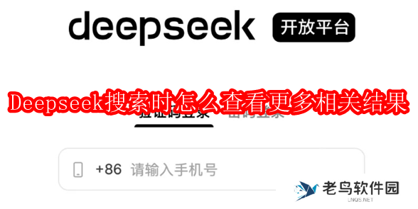 Deepseek搜索时怎么查看更多相关结果