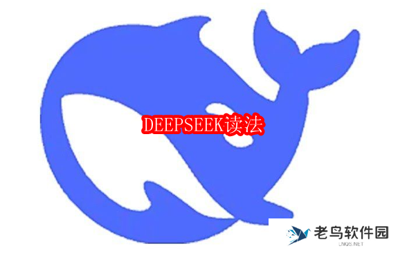 deepseek读音