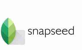 Snapseed如何校正画面倾斜-Snapseed调整画面倾斜度的方法